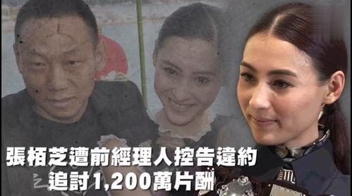 娱乐瓜吃不停