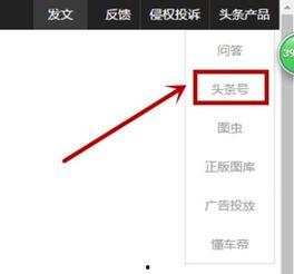 怎么把图片加在头条里面,如何将图片巧妙融入今日头条文章