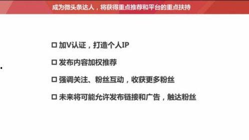 头条号换领域之前的视频,我的视频内容大转变！