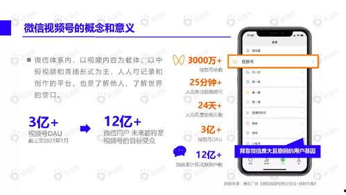 吃瓜小哥网红视频下载安装,轻松获取热门内容