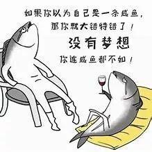 网红咸鱼抢闲置,一场闲置物品的狂欢盛宴