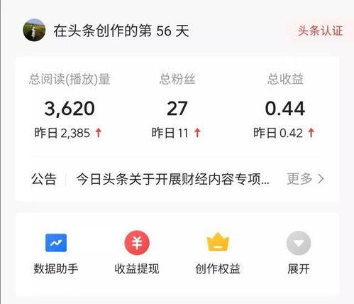 今日头条没有收益嘛,揭秘无收益背后的真相与应对策略