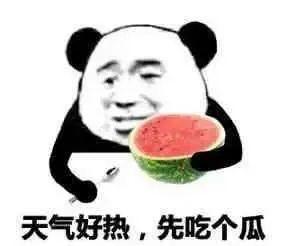 微信发吃瓜表情怎么回复