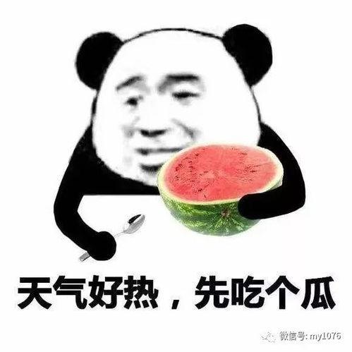 娱乐吃瓜酱母弱出商贾