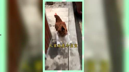 娱乐吃瓜群众酱,揭秘娱乐圈幕后故事